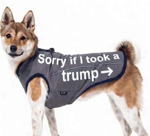 Yard sign: 'Please clean up your dog's Trump' with a dog silhouette leaving a turd-emoji pile